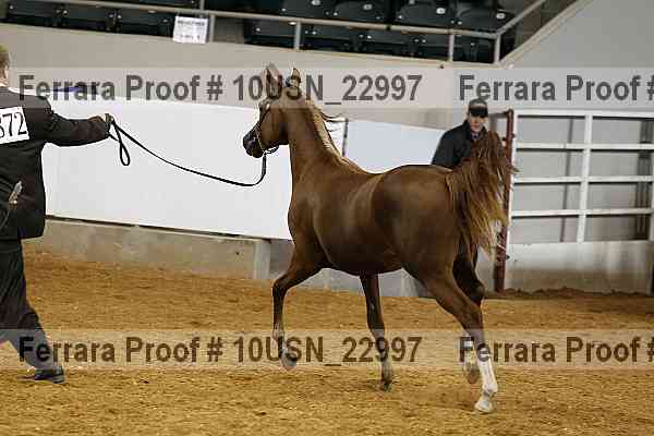 Proof 10usn_22997