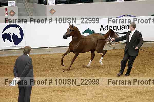 Proof 10usn_22999