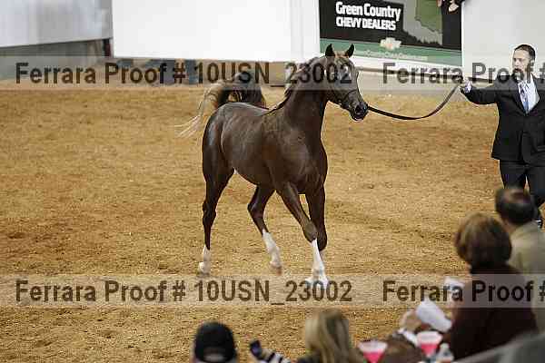 Proof 10usn_23002