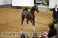 10usn_23002 proof