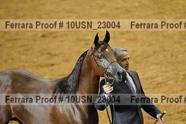 Proof 10usn_23004