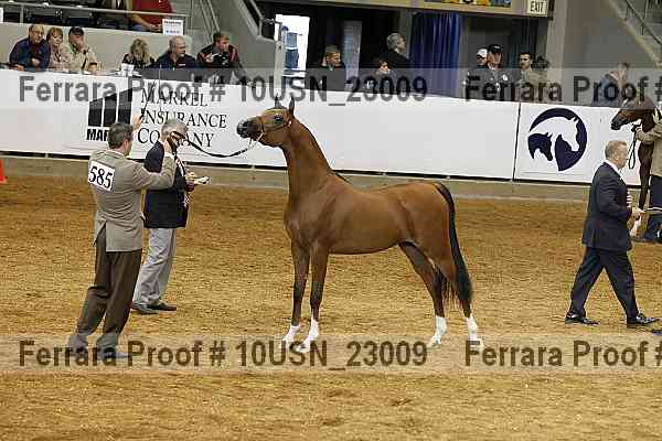 Proof 10usn_23009