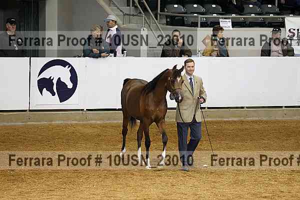 Proof 10usn_23010