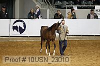 10usn_23010 proof