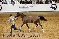 10usn_23021 proof