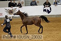 10usn_23032 proof