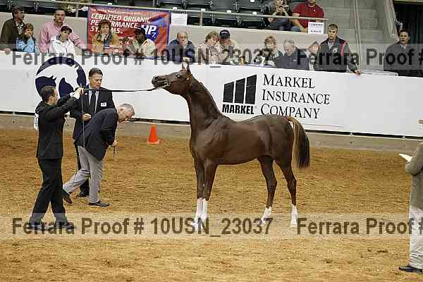 Proof 10usn_23037