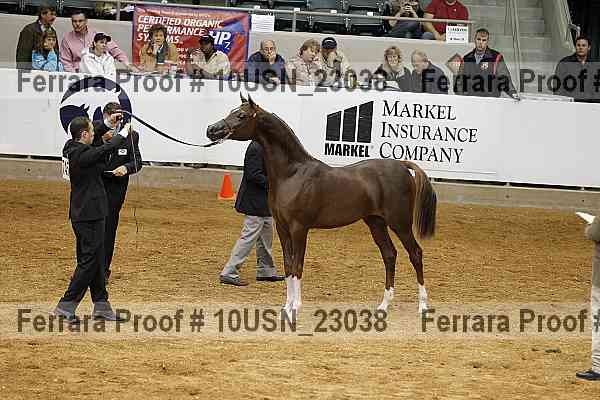 Proof 10usn_23038