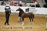 10usn_23038 proof