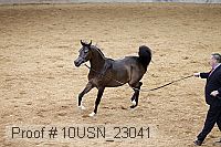10usn_23041 proof