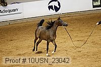 10usn_23042 proof