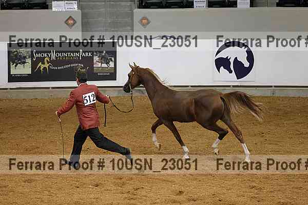 Proof 10usn_23051