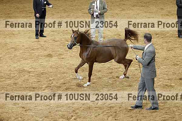 Proof 10usn_23054