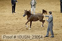 10usn_23054 proof