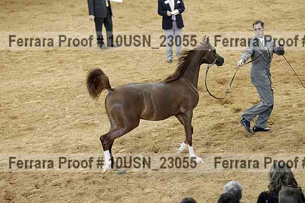 Proof 10usn_23055