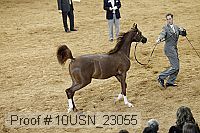10usn_23055 proof