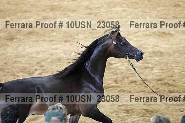 Proof 10usn_23058