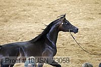 10usn_23058 proof