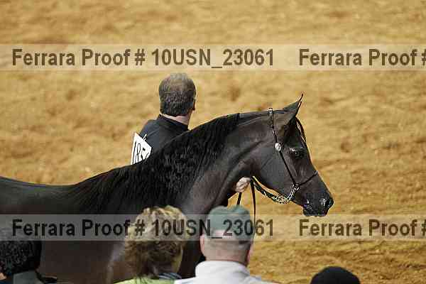 Proof 10usn_23061