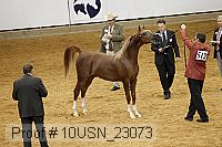 10usn_23073 proof