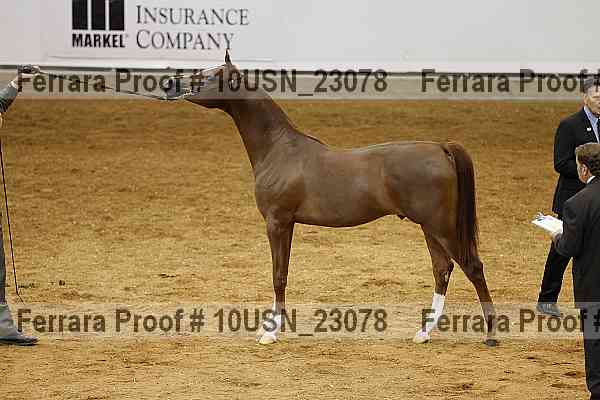 Proof 10usn_23078