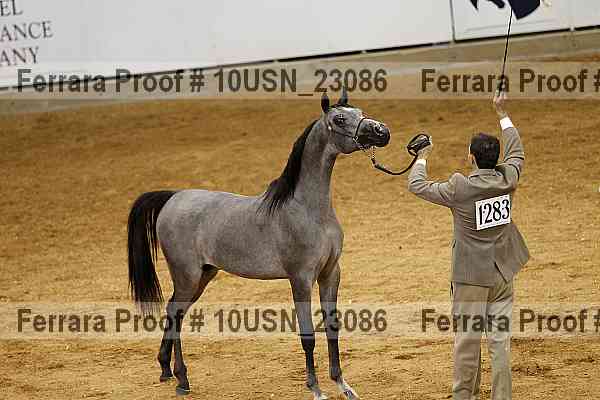 Proof 10usn_23086