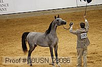10usn_23086 proof