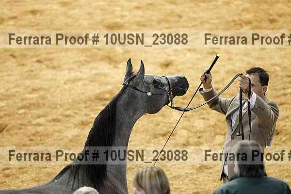 Proof 10usn_23088