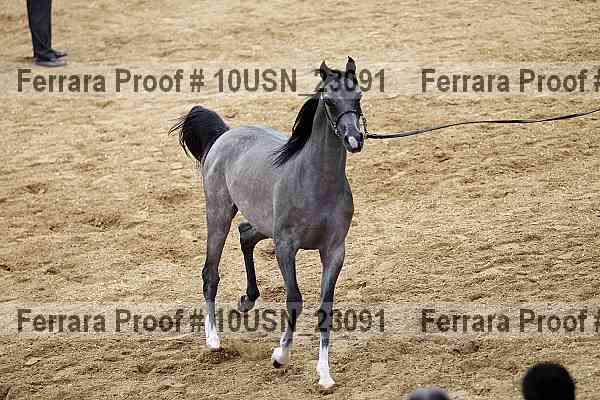 Proof 10usn_23091