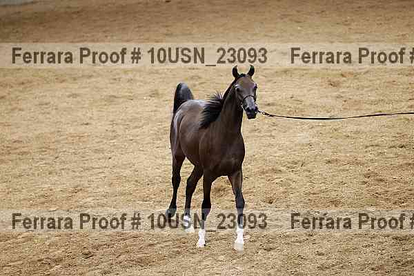 Proof 10usn_23093