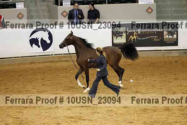 Proof 10usn_23094