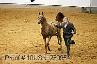 10usn_23095 proof