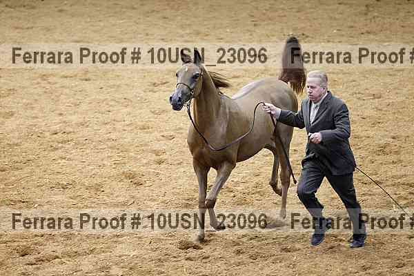 Proof 10usn_23096