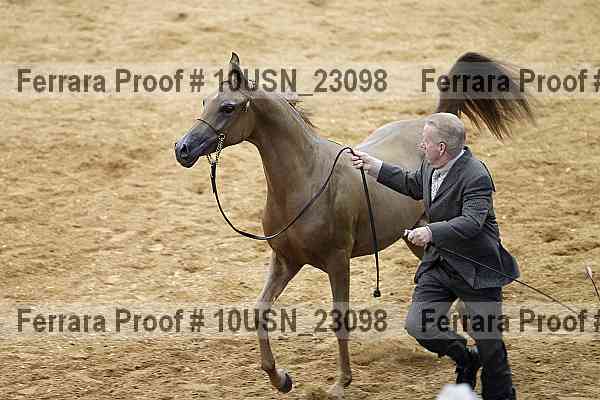 Proof 10usn_23098