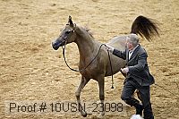 10usn_23098 proof