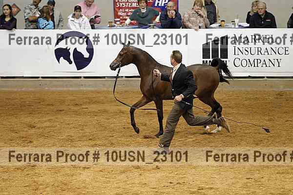 Proof 10usn_23101