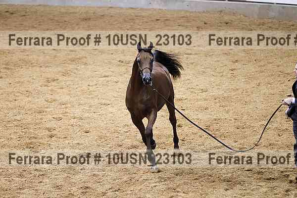 Proof 10usn_23103