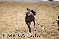 10usn_23103 proof
