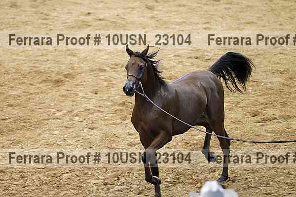 Proof 10usn_23104