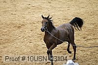 10usn_23104 proof