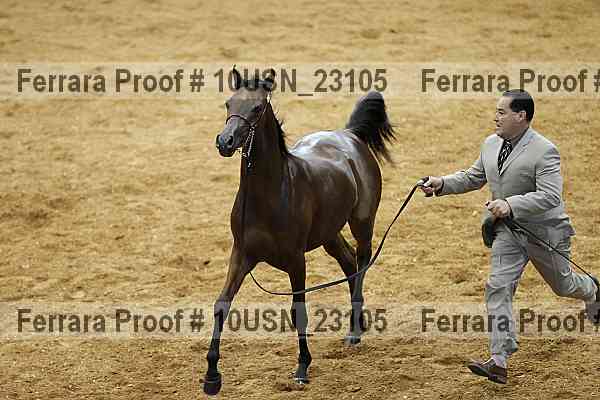 Proof 10usn_23105