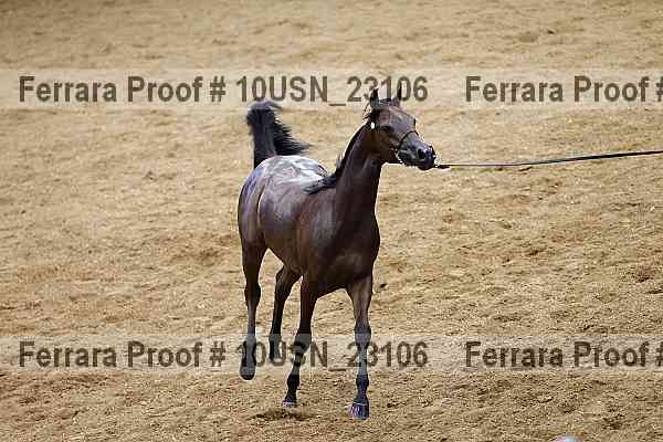 Proof 10usn_23106