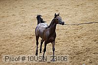 10usn_23106 proof
