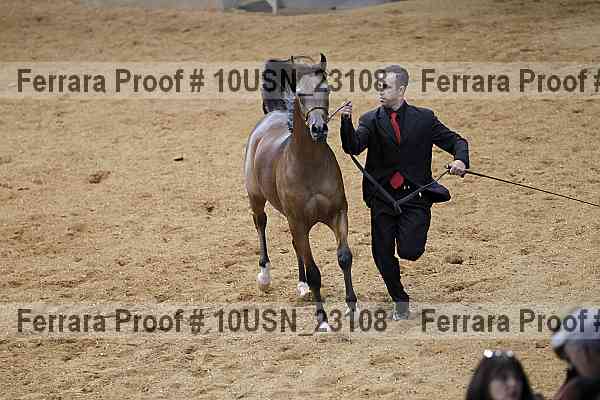 Proof 10usn_23108