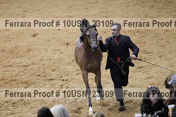 Proof 10usn_23109