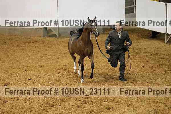 Proof 10usn_23111