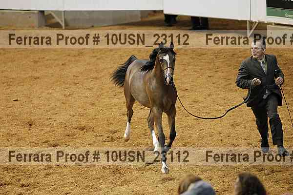 Proof 10usn_23112