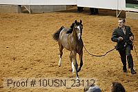 10usn_23112 proof