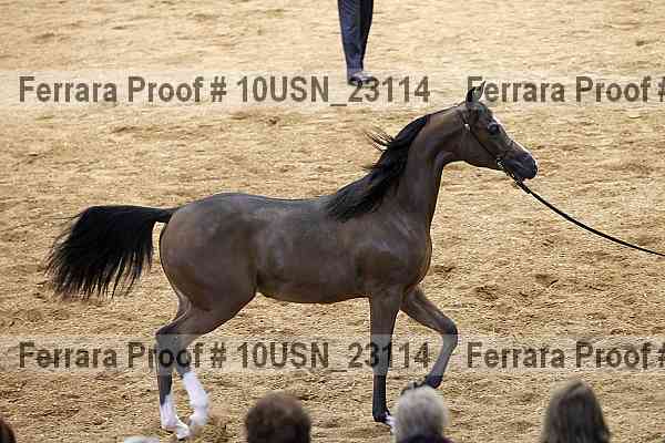 Proof 10usn_23114