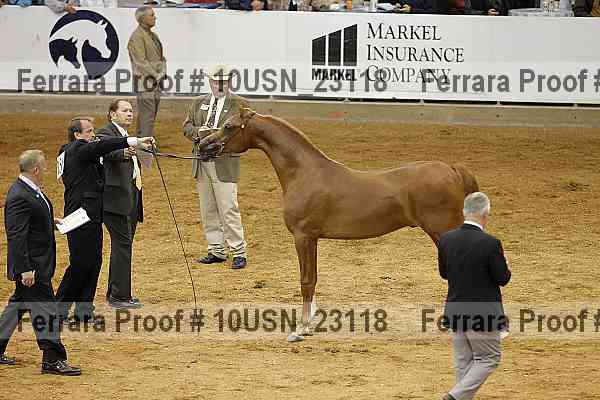 Proof 10usn_23118